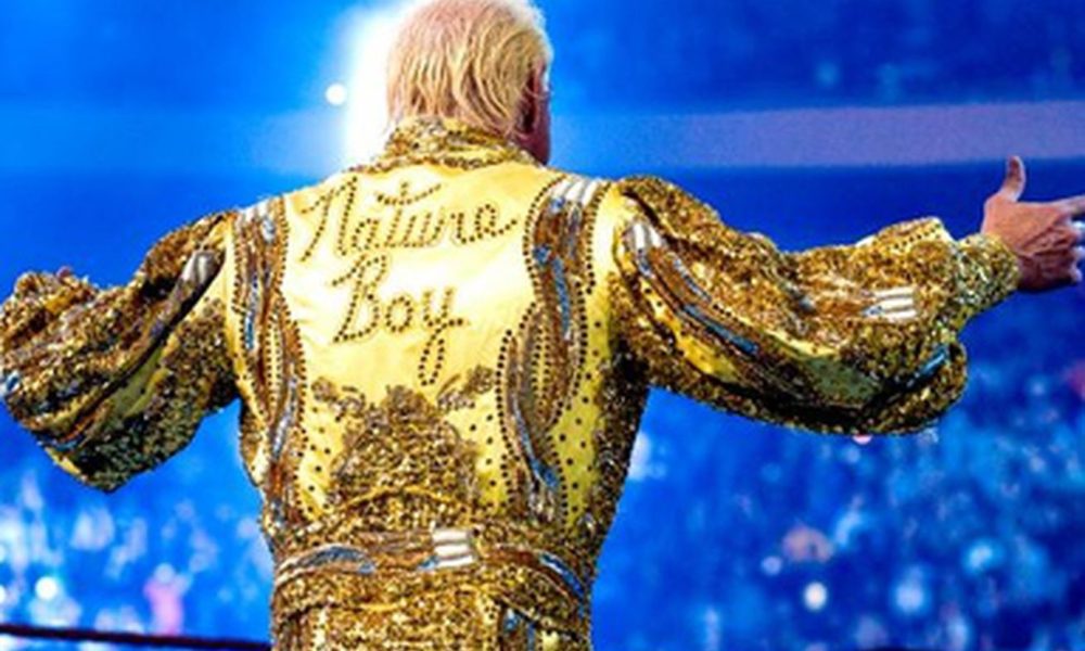 WWE Ric Flair Robe Back