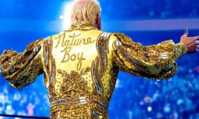WWE Ric Flair Robe Back