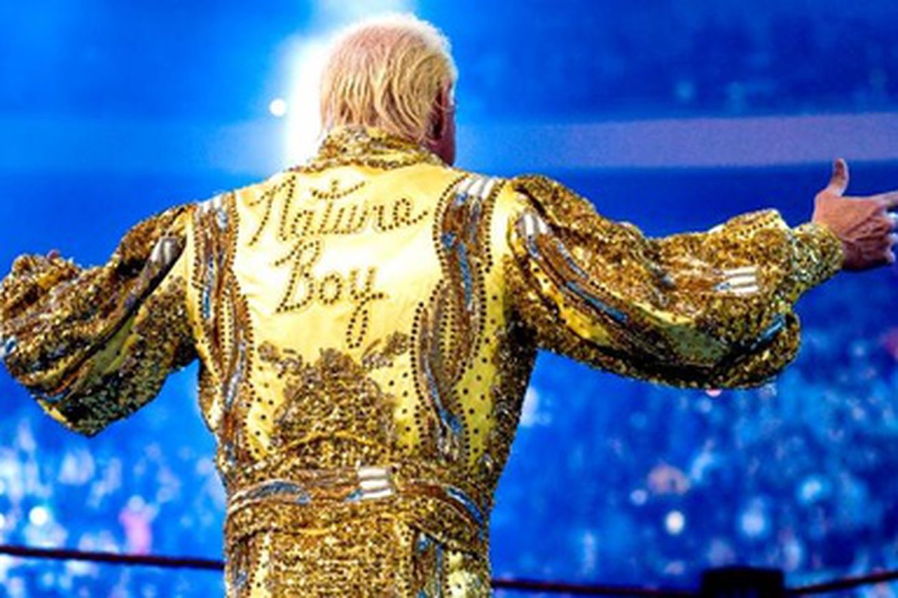 WWE Ric Flair Robe Back