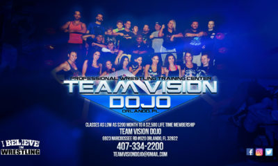 Team Vision Dojo