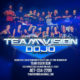 Team Vision Dojo