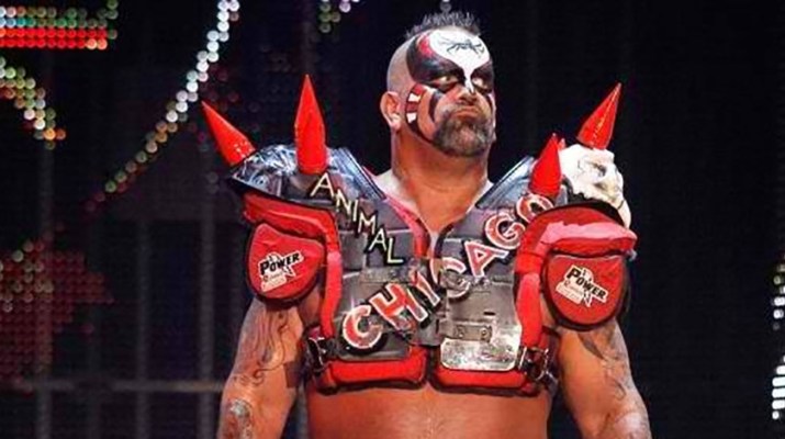 Road Warrior Animal