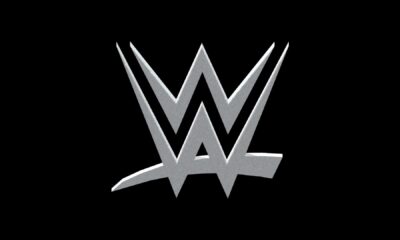 WWE Logo Metalic